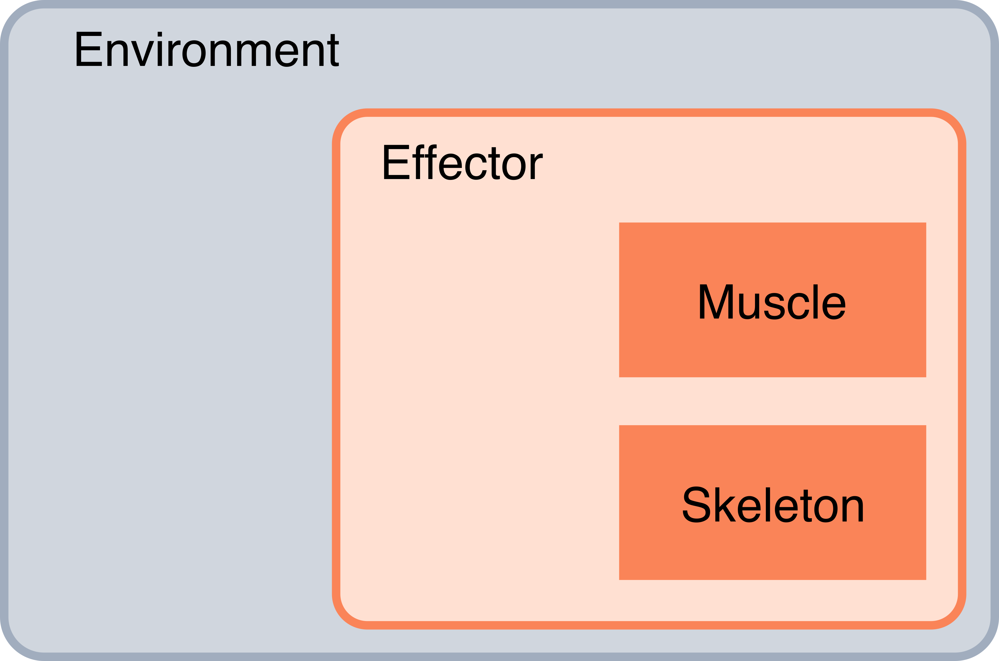 hierarchy